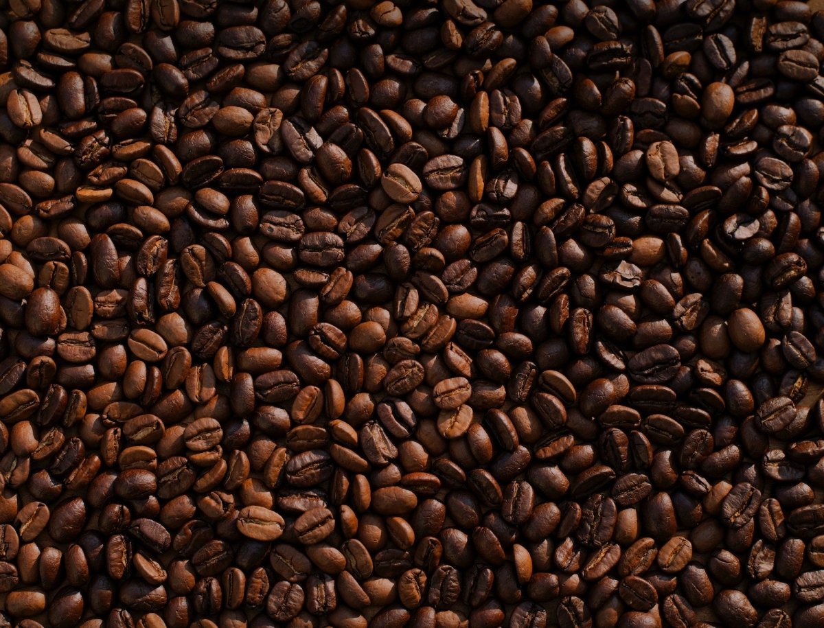 世界のコーヒー産地とその特徴 - BRUE COFFEE