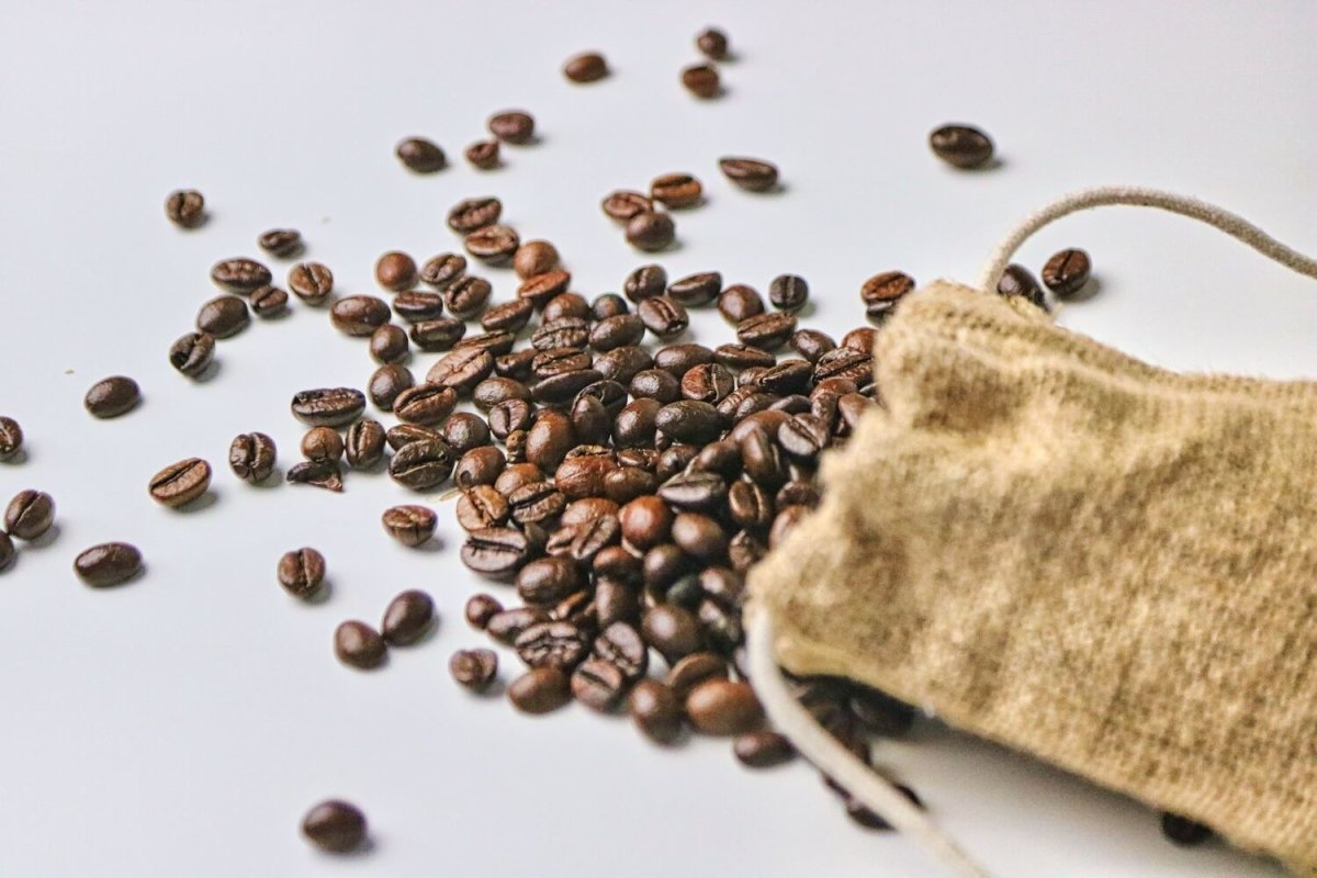 コーヒーのロブスタ種とは - BRUE COFFEE
