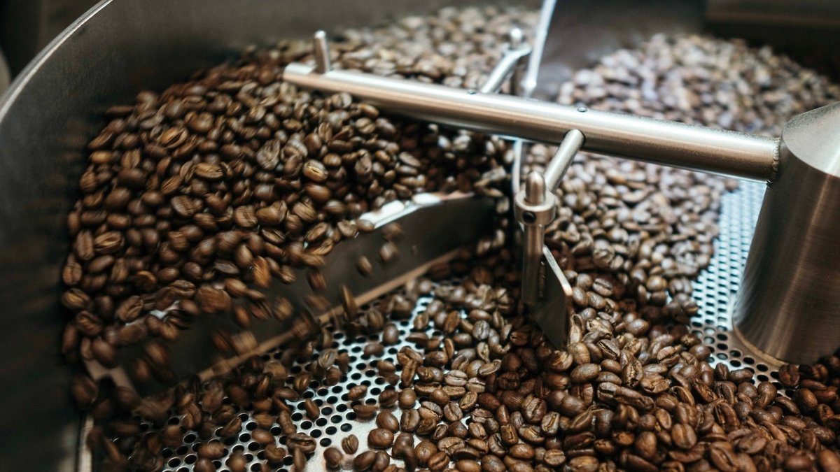 スペシャルティコーヒー : 高品質で美味しい豆の世界へのガイド - BRUE COFFEE