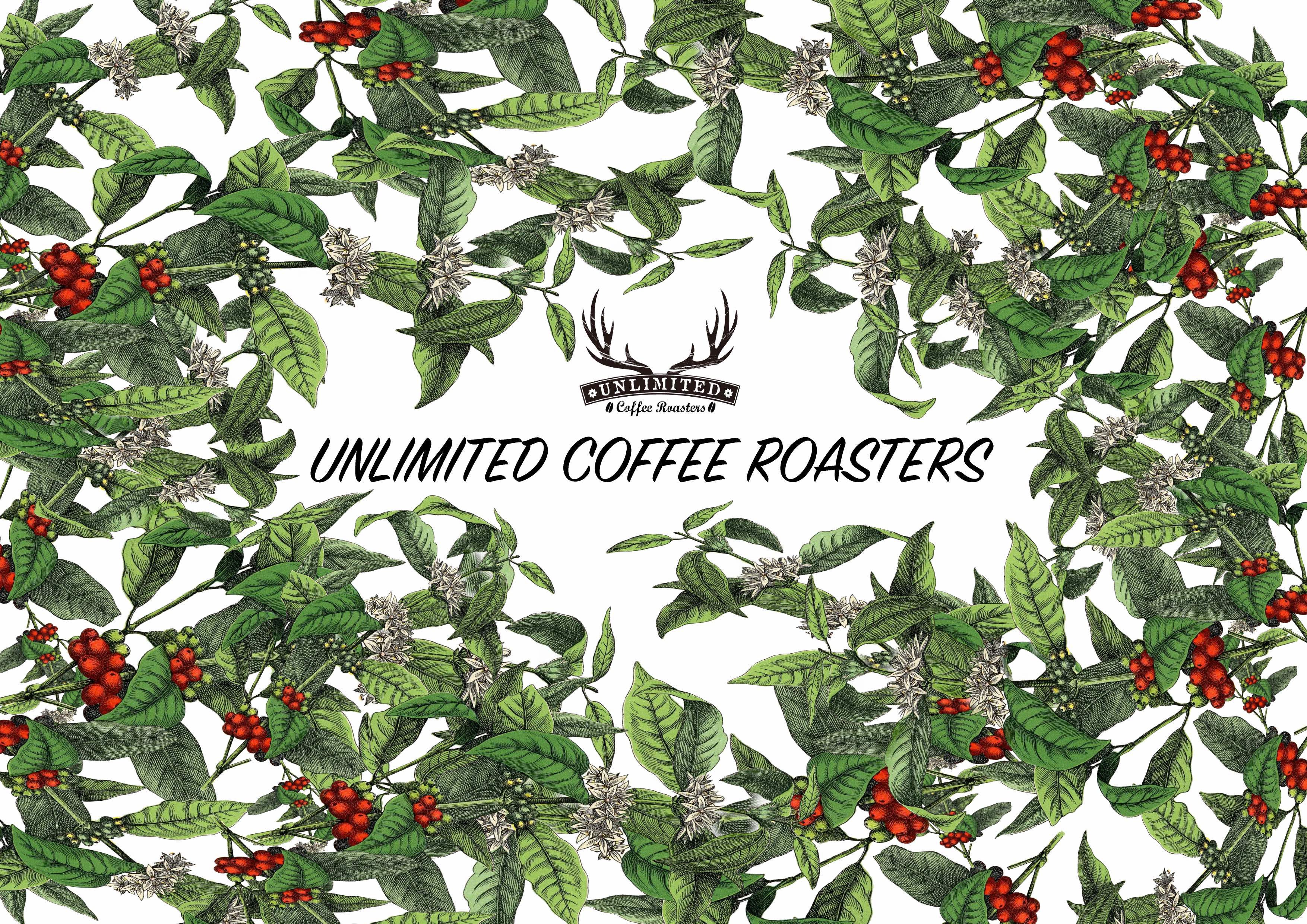 UNLIMITED COFFEE ROASTERS - アンリミテッド コーヒー ロースターズ - BRUE COFFEE