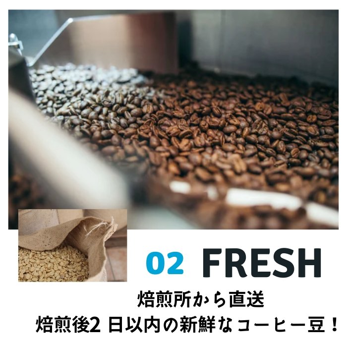 ビターセット 100g×3種 - inuit coffee roaster - inuit coffee roaster - コーヒー豆 - BRUE COFFEE