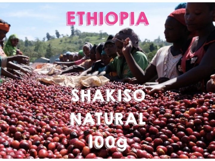 Ethiopia Sidamo Shakiso Natural - エチオピア シダモ シャキソ ナチュラル - UNLIMITED COFFEE ROASTERS - アンリミテッドコーヒーロースターズ - コーヒー豆 - BRUE COFFEE