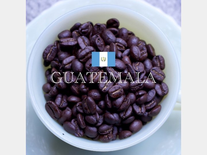 Guatemala グァテマラ - G☆P COFFEE ROASTER - G☆P COFFEE ROASTER - コーヒー豆 - BRUE COFFEE
