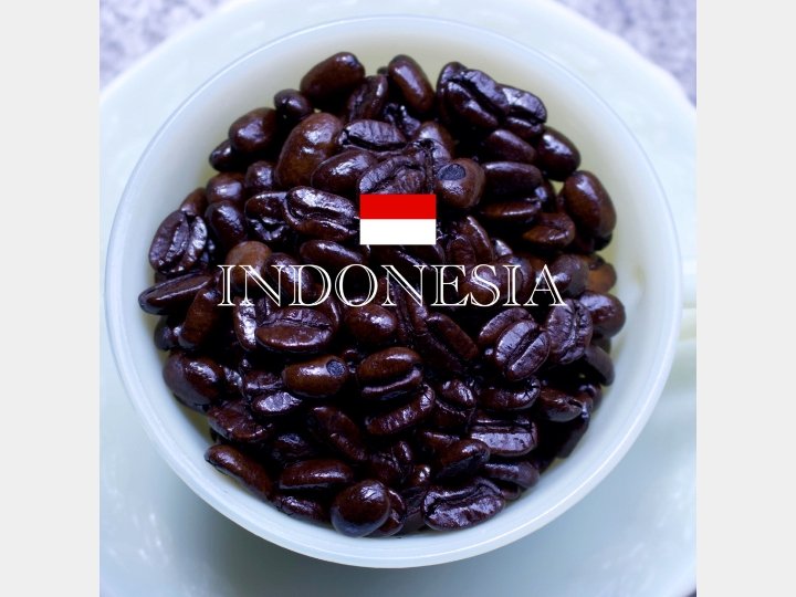 Indonesia インドネシア - G☆P COFFEE ROASTER - G☆P COFFEE ROASTER - コーヒー豆 - BRUE COFFEE