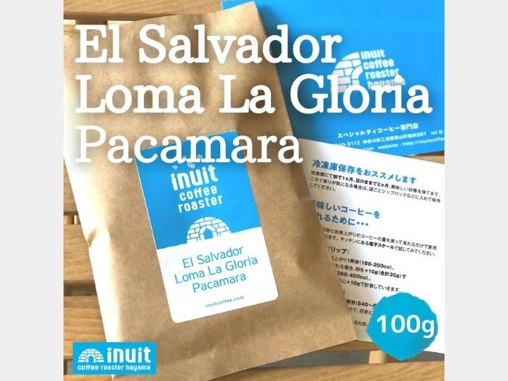 エルサルバドル ロマ ラ グロリア パカマラ - inuit coffee roaster - inuit coffee roaster - コーヒー豆 - BRUE COFFEE