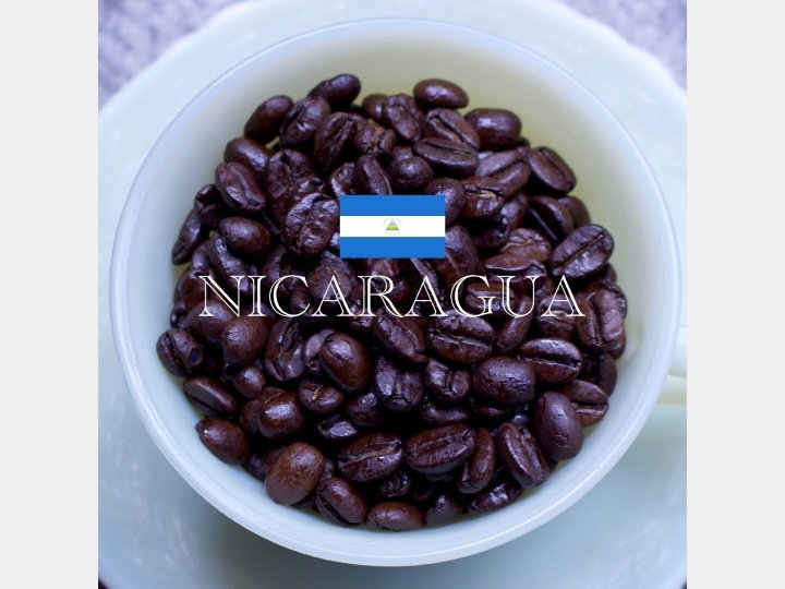 Nicaragua ニカラグア - G☆P COFFEE ROASTER - G☆P COFFEE ROASTER - コーヒー豆 - BRUE COFFEE