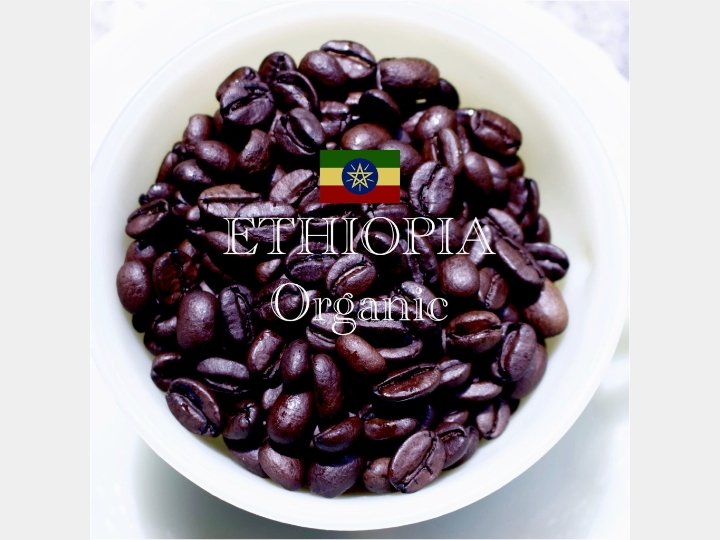 Organic Ethiopia オーガニック エチオピア - G☆P COFFEE ROASTER - G☆P COFFEE ROASTER - コーヒー豆 - BRUE COFFEE